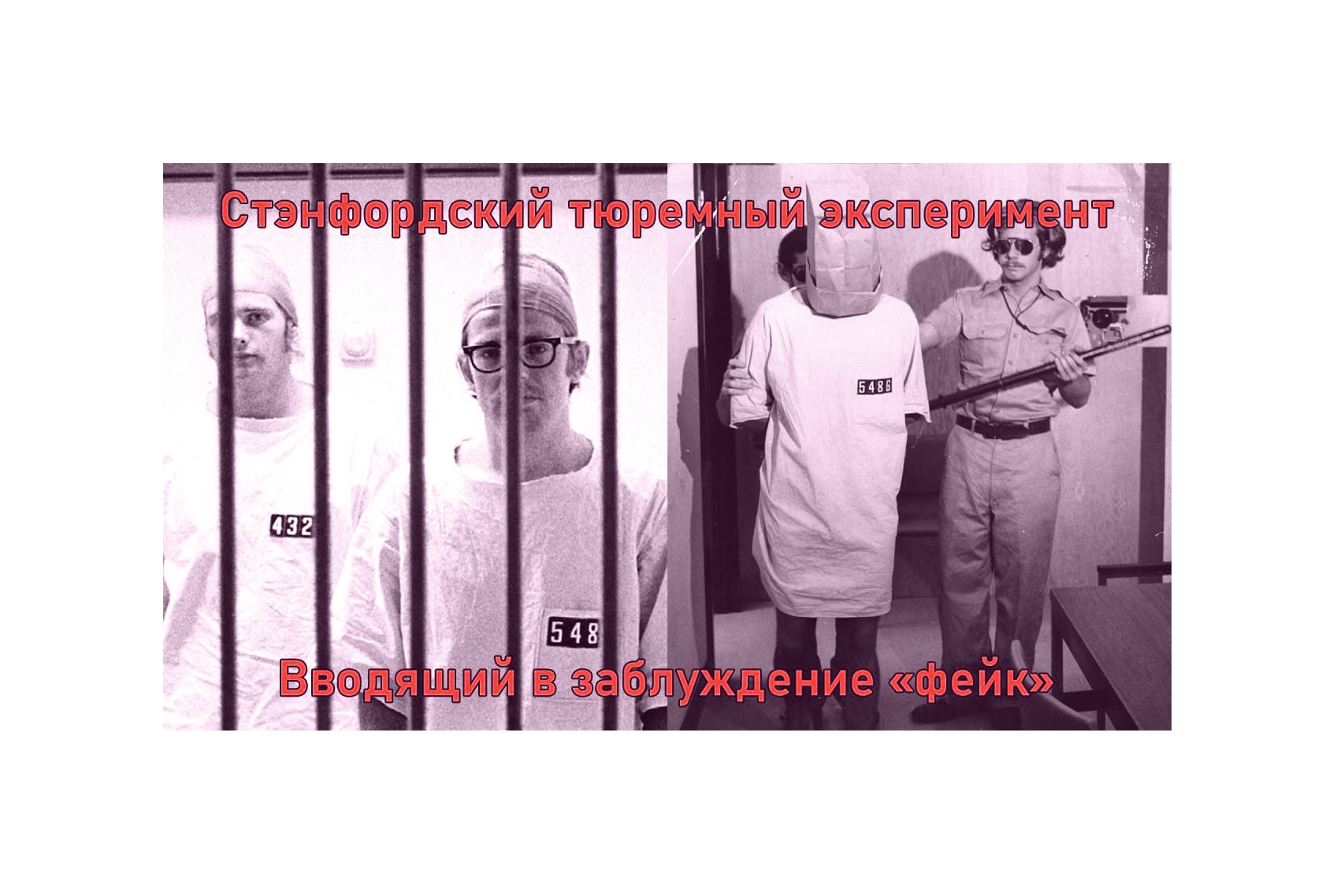 german prison experiment